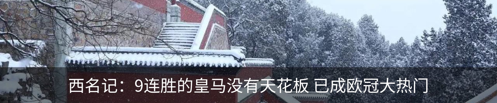 最新动态